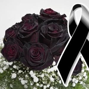 Meet your Posher, Flakis